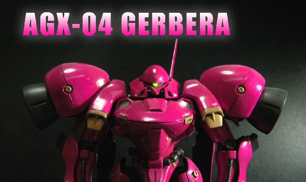 ガーベラテトラ-1