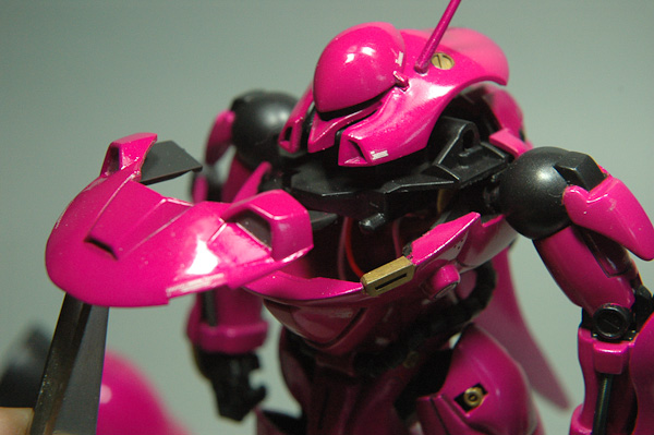 ガーベラテトラ-5