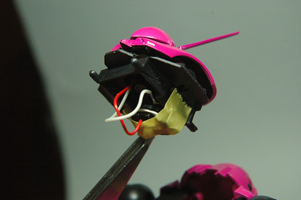 ガーベラテトラ-6