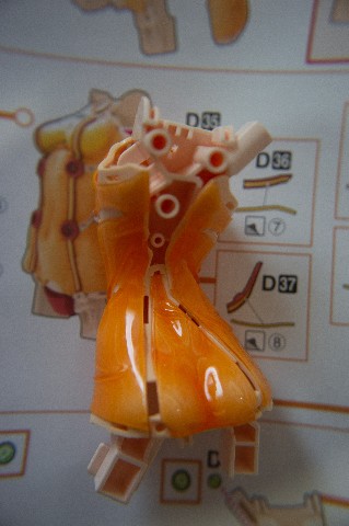 BANDAI Figure-rise LABO 式波・アスカ・ラングレー SHUKINAMI ASUKA KANGLEY-6