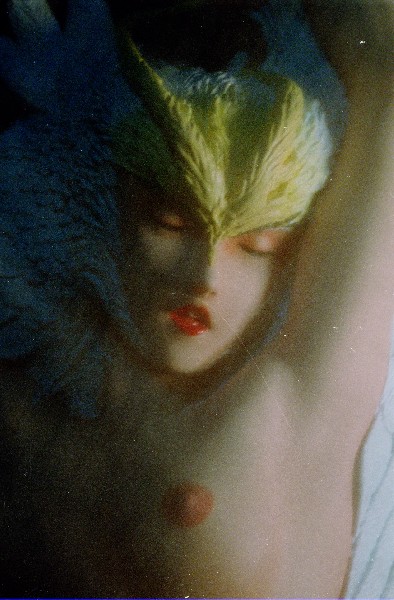 シレーヌ 舞 光と闇 光 ボークス デビルマン -1
