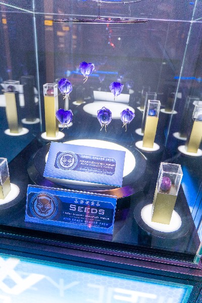 アベンジャーズ展　京都　京セラ美術館　その４-4
