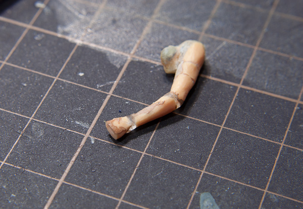 キャンギャル 1号 その2 指の制作 -1