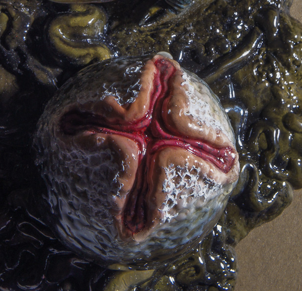 エイリアン2 エイリアン ウォーリア 1/9 ハルシオン 完成-8