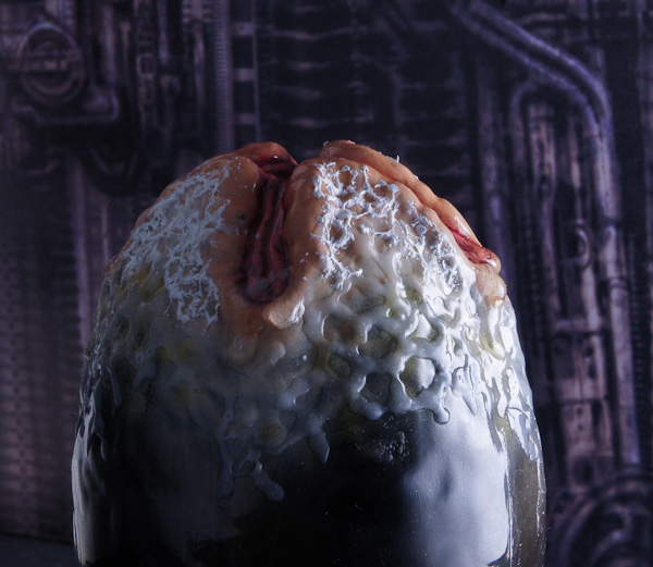 エイリアン2 エイリアン ウォーリア 1/9 ハルシオン 完成2-1