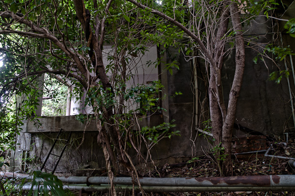 一龍旅館　潜入編　其の壱　渡り廊下-6