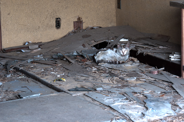 一龍旅館 潜入編 其の五 三階の住人-3