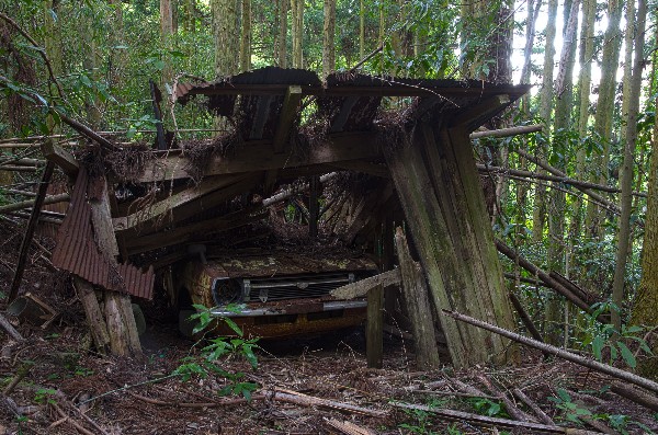 今畑（いまはた）集落跡　和歌山県紀の川市-1
