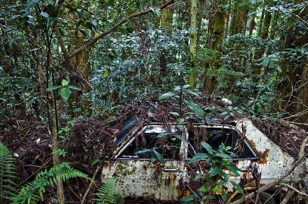 今畑（いまはた）集落跡　和歌山県紀の川市-2
