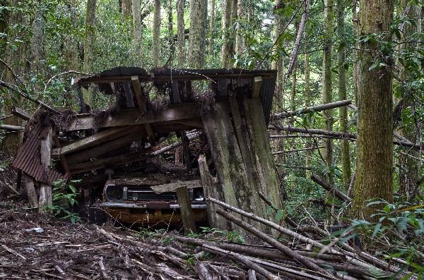今畑（いまはた）集落跡　和歌山県紀の川市-4
