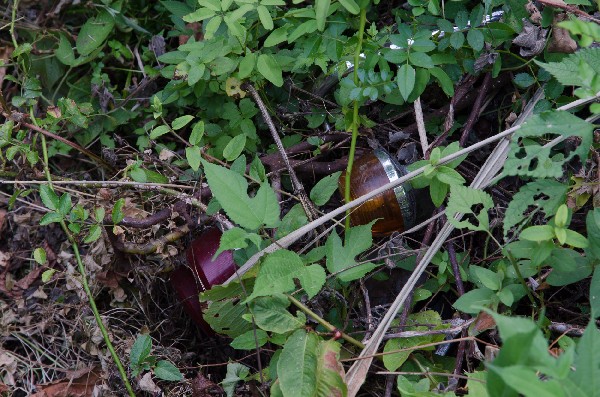 今畑（いまはた）集落跡　和歌山県紀の川市-5
