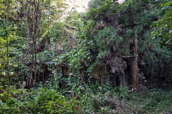 今畑（いまはた）集落跡　和歌山県紀の川市-6
