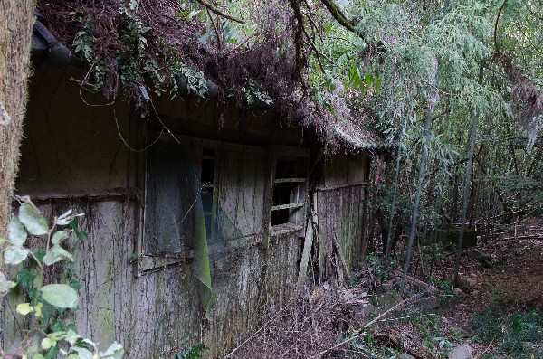 今畑（いまはた）集落跡　和歌山県紀の川市-7

