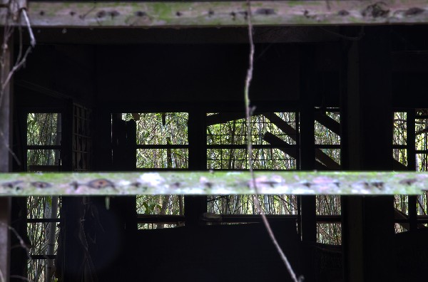 今畑（いまはた）集落跡　和歌山県紀の川市　その弐-1
