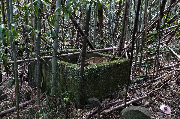 今畑（いまはた）集落跡　和歌山県紀の川市　その弐-2
