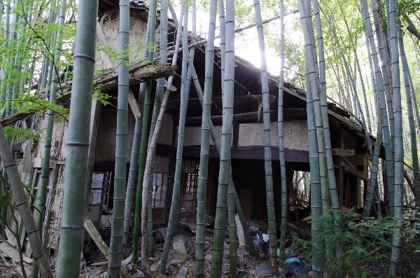 今畑（いまはた）集落跡　和歌山県紀の川市　その弐-4
