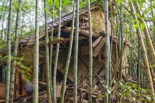 今畑（いまはた）集落跡　和歌山県紀の川市　その弐-8
