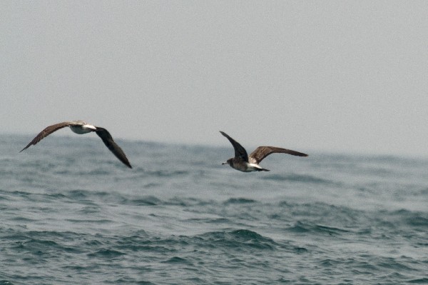 友ヶ島 第二部 その壱-1