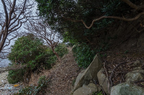 友ヶ島 第二部 その弐-5