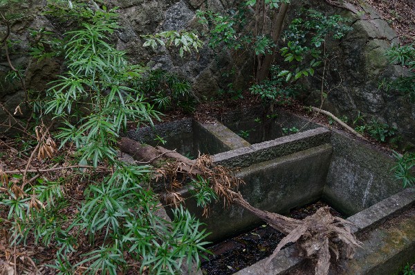 友ヶ島 第二部 その参-4