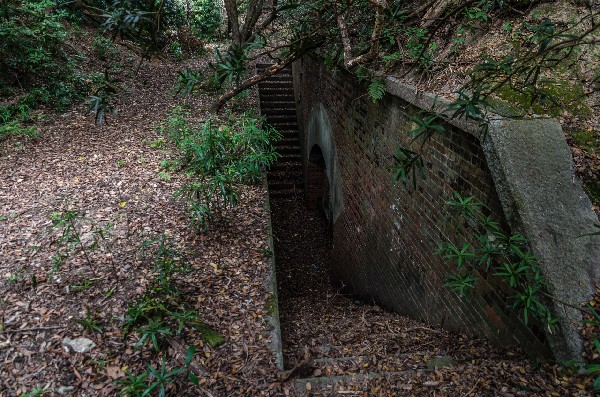 友ヶ島 第二部 その参-6