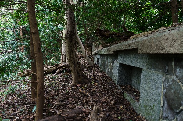 友ヶ島 第二部 その参-7