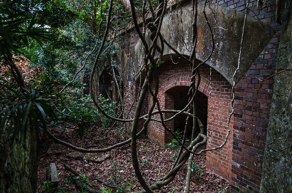 友ヶ島 第二部 その参-8