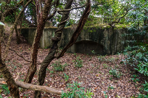 友ヶ島 第二部 その四-7