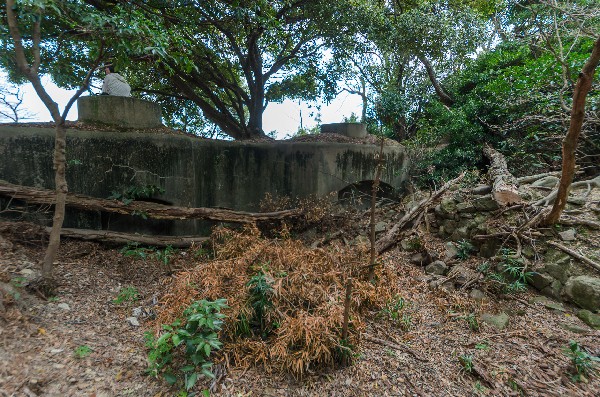 友ヶ島 第二部 その伍-1