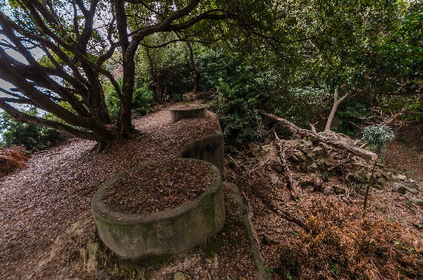 友ヶ島 第二部 その伍-2
