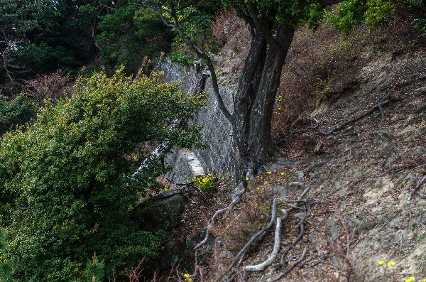 友ヶ島 第二部 その伍-3