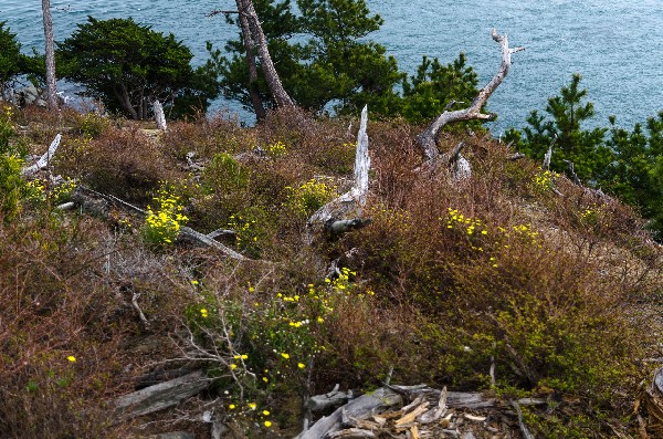 友ヶ島 第二部 その伍-5