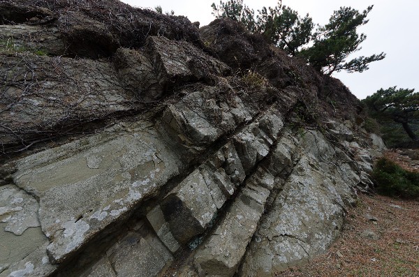 友ヶ島 第二部 その六-3