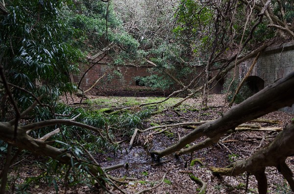 友ヶ島 第二部 その七-2