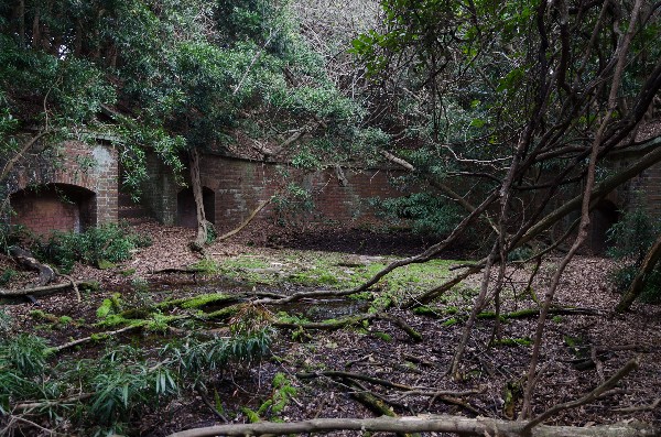 友ヶ島 第二部 その八-3