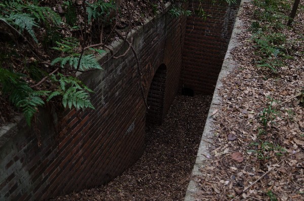 友ヶ島 第二部 その八-5