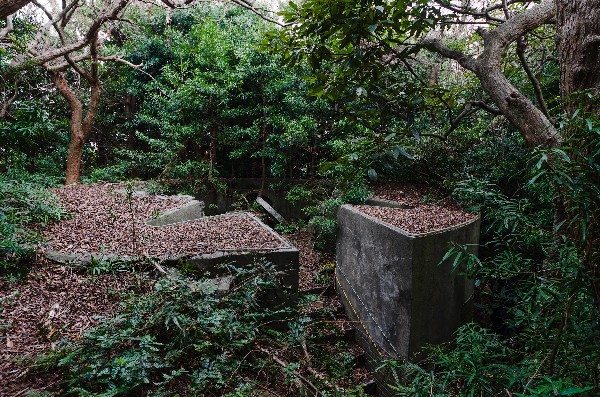 友ヶ島 第二部 その九-2