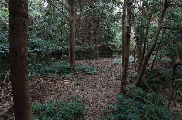 友ヶ島 第二部 その九-5