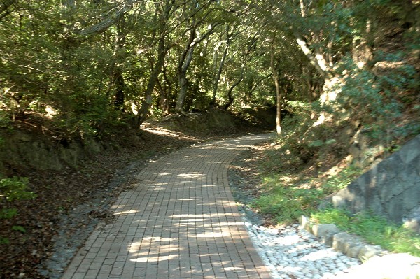 和歌山市深山第一砲台跡 その壱-8