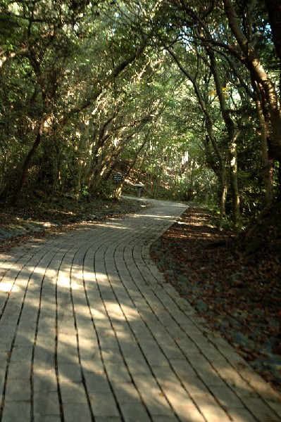 和歌山市 深山第一砲台跡 その弐-1