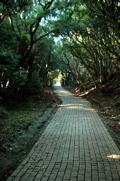 和歌山市 深山第一砲台跡 その弐-2