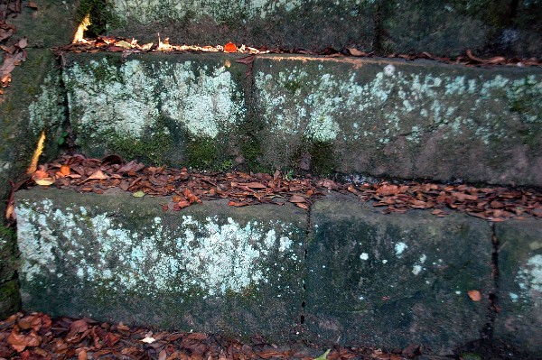 和歌山市 深山第一砲台跡 その弐-7