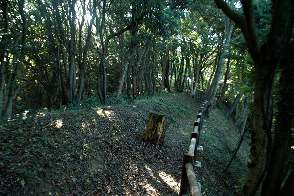 和歌山市 深山第一砲台跡 その弐-8
