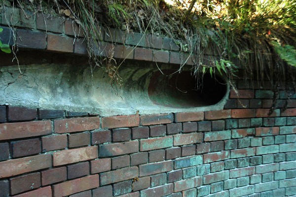 和歌山市 深山第一砲台跡 その参-5