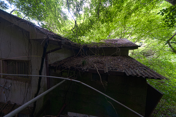 犬鳴温泉 大栄閣(大榮閣) 特別編 其の弐-7