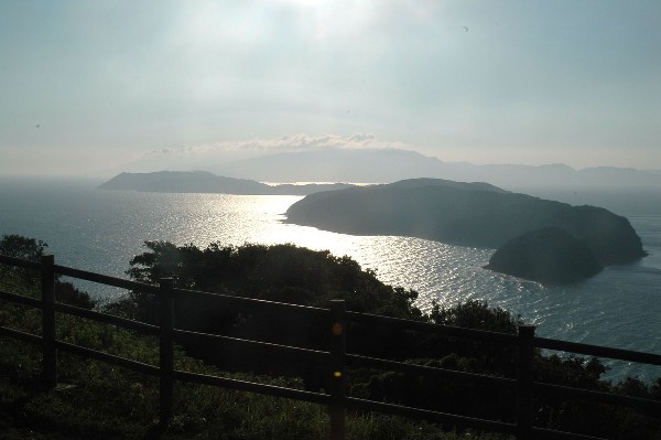 和歌山市 深山第陸砲台跡 その陸-3