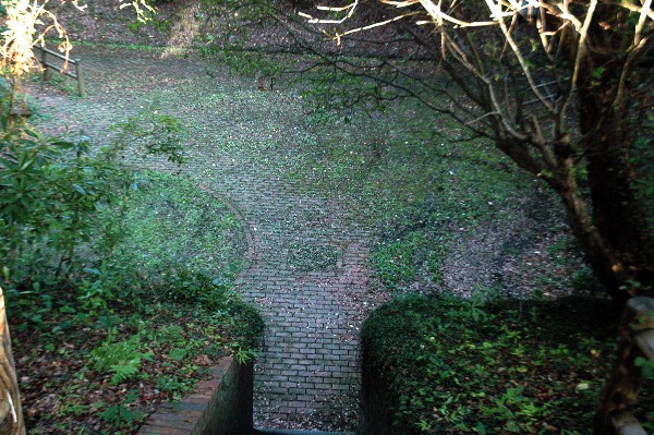 和歌山市 深山第陸砲台跡 その陸-5