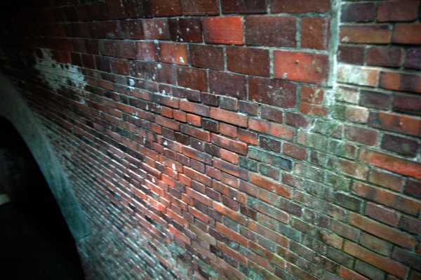 和歌山市 深山第陸砲台跡 その七-3