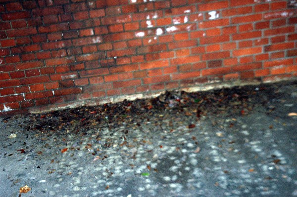 和歌山市 深山第陸砲台跡 その八-1