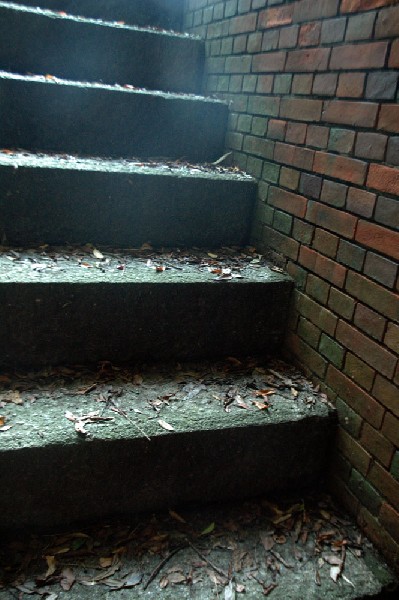 和歌山市 深山第陸砲台跡 その八-5